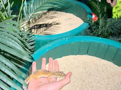 -石家庄海洋公园