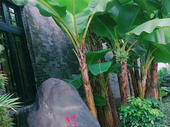 -粤剧艺术博物馆