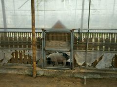 -上海多利农业发展有限公司