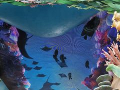 -珠海长隆海洋王国