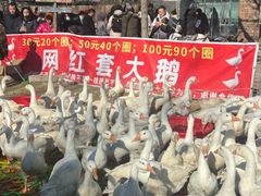 -辛庄国际文化艺术区