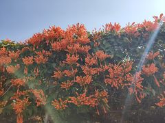 -中国移动南方基地