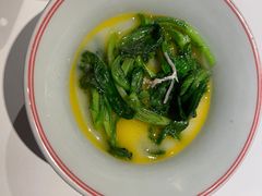 -觀芷隐轩