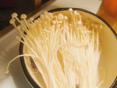 金针菇-洪氏嗨捞·猪肚鸡火锅(阳光天地店)