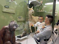 -国家自然博物馆