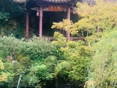 -杭州黄龙洞