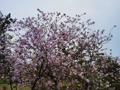 -荔湾区儿童公园