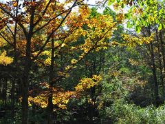 -洛阳白云山景区