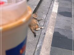 -Jeans Coffee牛仔裤咖啡