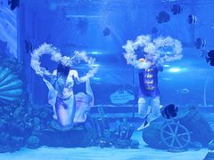-顺德南宏海立方海洋公园