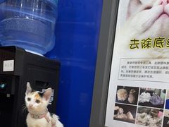 -芭比堂动物医院(广州爱宠下渡路分院)