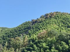 -黄山翡翠谷景区