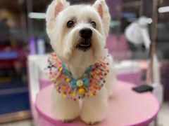 -FAELING PETS美天灵宠物(富力广场店)
