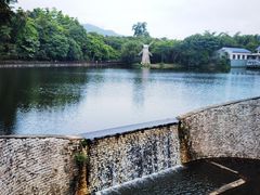 -大屏嶂森林公园