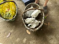 -马陆小张葡萄园农家乐