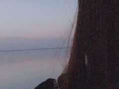 -兴旺渔家