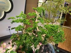-俏牛哥鲜牛肉牛肆馆(重庆天地店)
