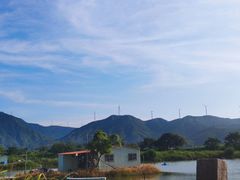 -大亚湾红树林城市湿地公园