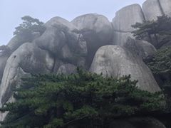 -天柱山风景区