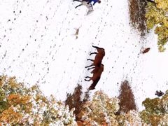 -五角枫生态旅游景区