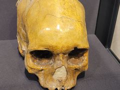 -北京周口店北京人遗址博物馆