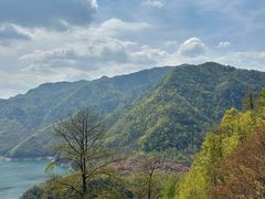 -四明山国家森林公园