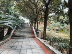 -重庆平顶山公园