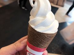 -富豪雪糕车流动点(尖沙咀店)
