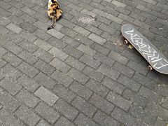 -复旦张江校区食堂