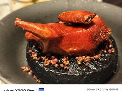 -许家菜.艺创菜(仁和新城店)