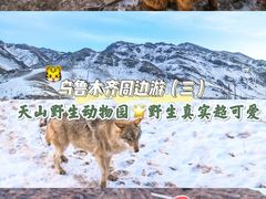 -新疆天山野生动物园