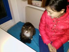 android_upload_pic-Anne猫窝咖啡屋
