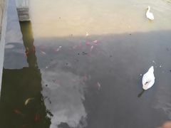 -无锡动物园·太湖欢乐园