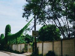 -黄兴公园