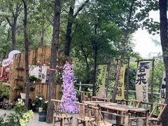 -沂蒙山旅游区云蒙景区(蒙山国家森林公园)