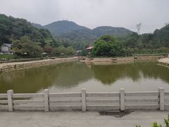 -广州市帽峰山景区