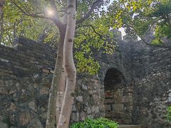 -小南山公园