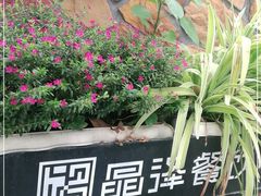 -晶泽丽琅·鱼鲜川菜(川师店)