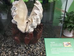 -中国湿地博物馆