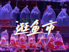 -华声天桥民俗文化园