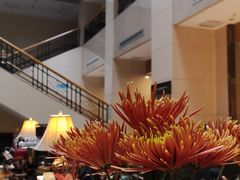 -阿什卡咖啡馆ESSCA COFFEE(塔里木石油宾馆店)