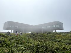 -涉地可支
