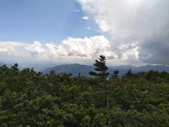-牛背梁国家森林公园