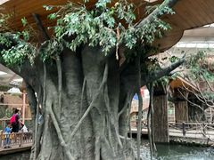 -南宫五洲植物乐园