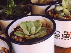 -探鱼·鲜青椒爽麻烤鱼(番禺万达店)