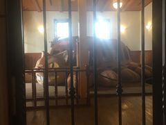 其实这也是不允许拍的，没反应过来，就拍了-三鹰之森吉卜力美术馆