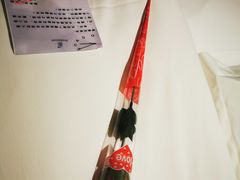 -张掖华辰国际大酒店