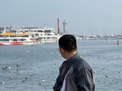-青岛海滨风景区