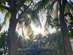 -三亚湾海居铂尔曼度假酒店