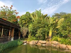 景观位-西双版纳洲际度假酒店兰吧